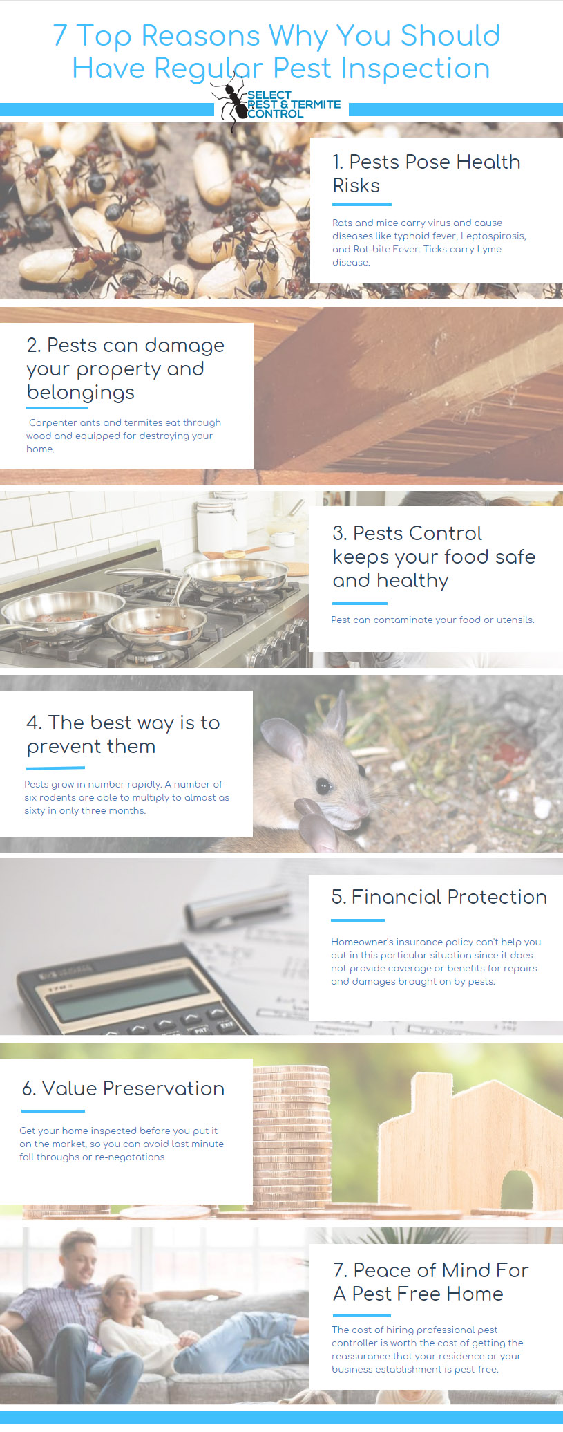 7 Most Important Reasons Why Pest Inspections Is Important