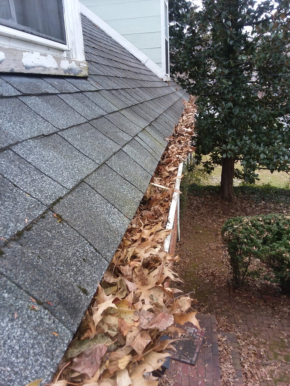 Why You Should Always Clean Your Gutters.